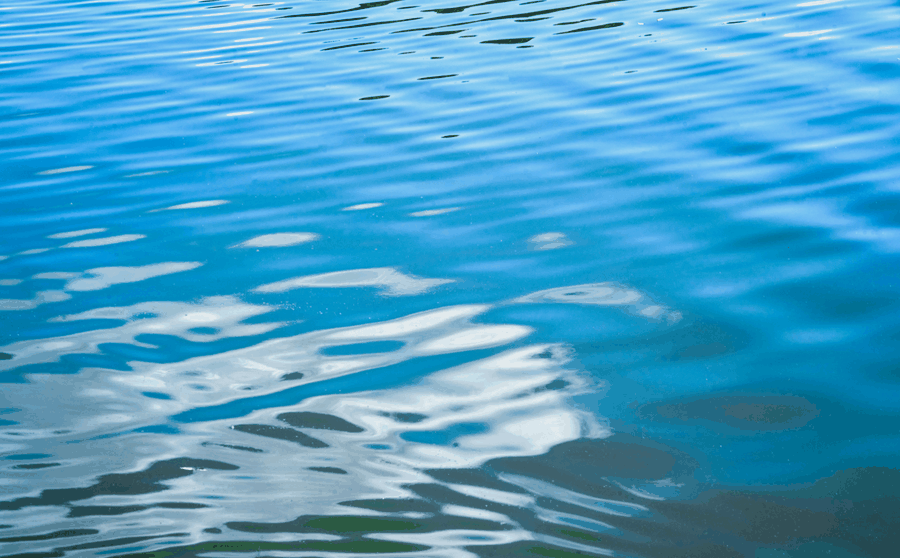 CFO discussion, treasury policy, Q&A session